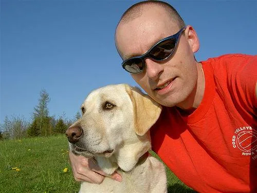 Labrador Retriever #62, a Labrador Retriever in the PetMatch pool