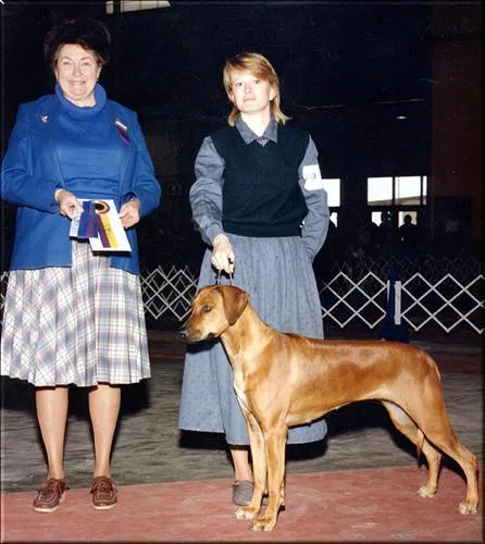 Rhodesian Ridgeback #20, a Rhodesian Ridgeback in the PetMatch pool