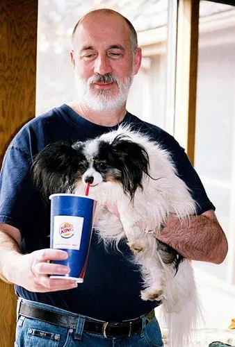 Papillon #14, a Papillon in the PetMatch pool