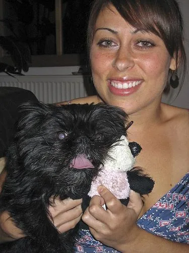Affenpinscher #98, a Affenpinscher in the PetMatch pool