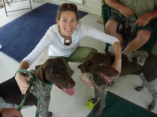 German Short Haired Pointer #105, a German Shorthaired Pointer in the PetMatch pool